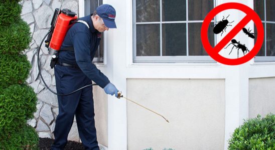 Mecitözü Dezenfeksiyon böcek ilaçlama ve haşere kontrolü — ilaclama-tr.com